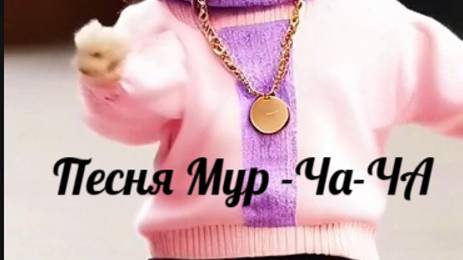 Песня "Мур-ча-ча"