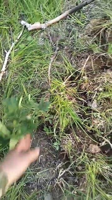 1000216824.mp4