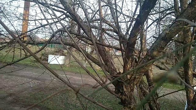 Репетиция Масленицы!!!Испекла блины!!!Какие семена помидор 🍅 буду садить на новый сезон!!!Юг России