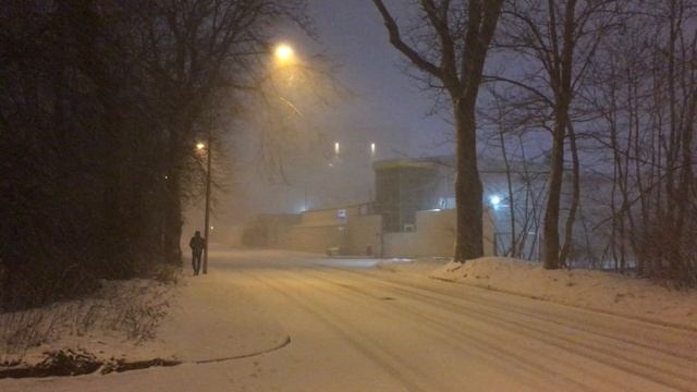Калининградская погода в январе .