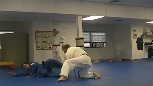 Hapkido Blue Belt Chapter II Pete Sushko