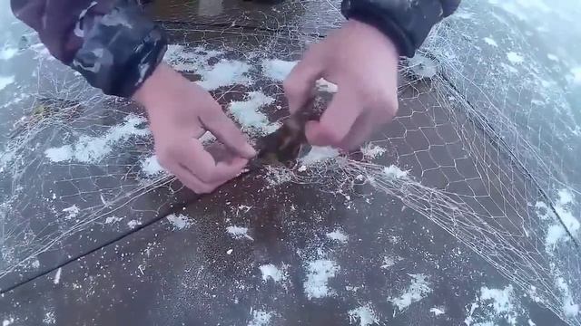 Рыбалка на хапуги хлопок, ловим необычную рыбу, все секреты её изготовления! 👇👇👇