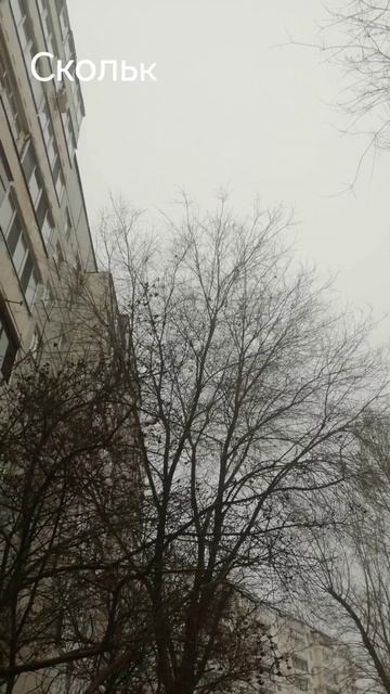 С 1 февраля