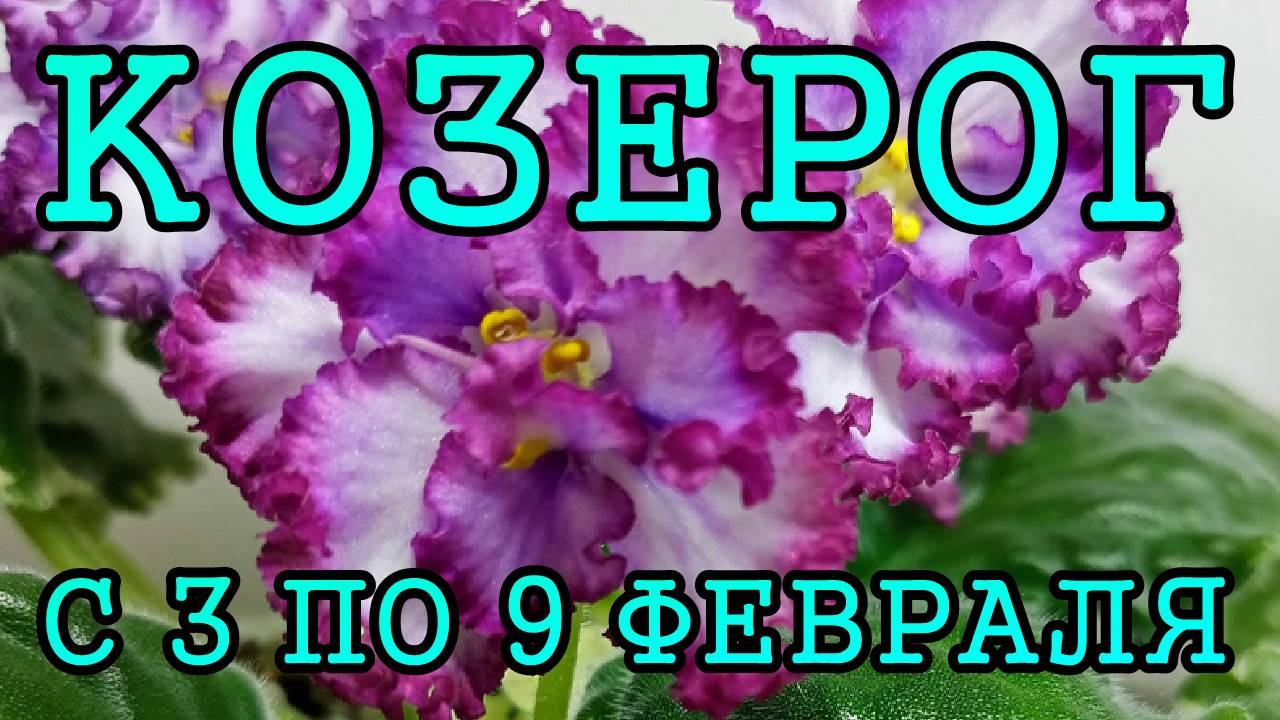 КОЗЕРОГ таро прогноз на неделю с 3 по 9 ФЕВРАЛЯ 2025 года.