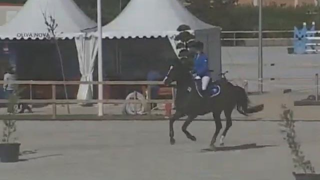 El Sueno Night Fever & Mackenzie Ray, 1.25m Bronze Tour, Valencia, Week 3