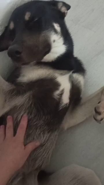 Тискаем милашку