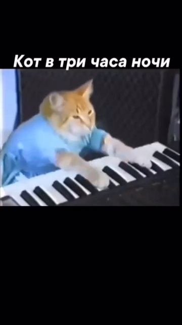 Умная кормушка #shorts