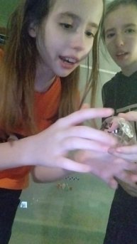 VID_20250201_180006.mp4