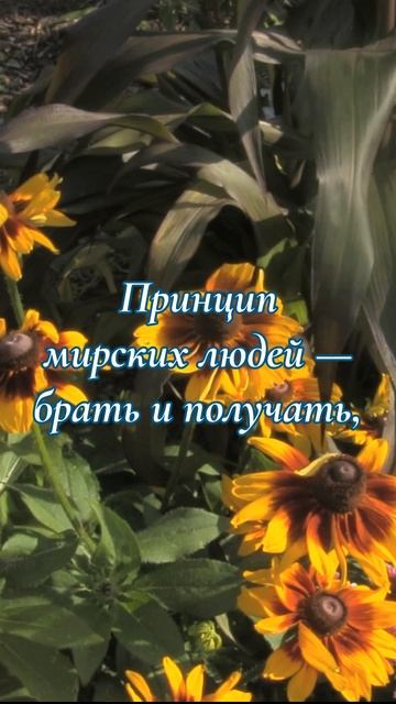 Крест Христов взывает к щедрости | Эллен Уайт о Боге, спасении, вечности