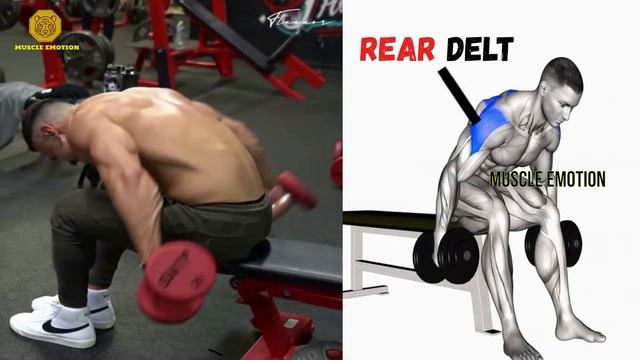 8 BEST REAR SHOULDERS EXERCICES WITH DUMBELLS , CABLE,  BARBELL AT GYM