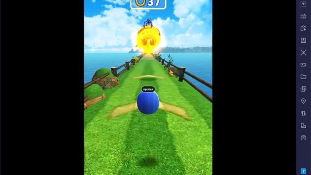 Sonic Dash Пират Соник