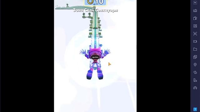 Sonic Dash Ржавая Роуз