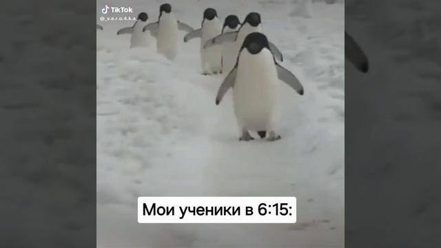 Мои любимые ученики. Все огромные молодцы☀️☀️