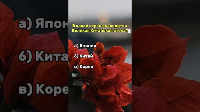 🔴 Общие знания, вопросы #ответ #викторина #знание #тест