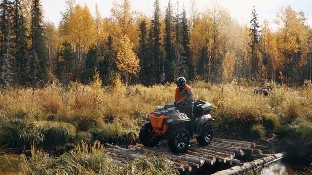 Build a bridge // Построить мост