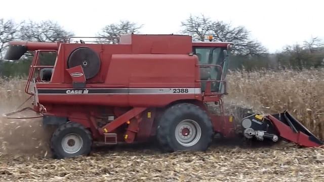 Case 2388 Corn Harvest 2013