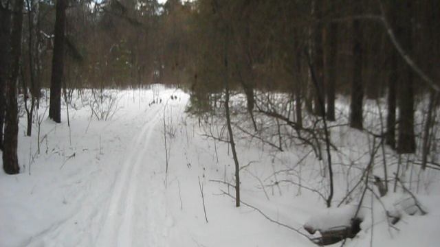 MVI_5620 Первое спортивное Февраля 2025