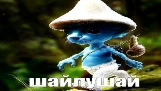 Шайлушай 1 час версия