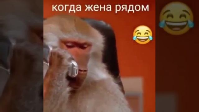 Когда жена рядом.
