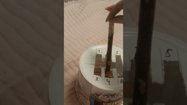 Коробка