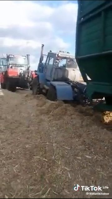 ff188c8dfa8834168c6caca100120531_1737896495741.mp4