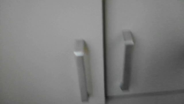 VID_20250201_084157.mp4