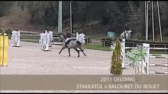VOLO’S DIAMOND 1M40 CSI ROYAN FEBRUARY 2020