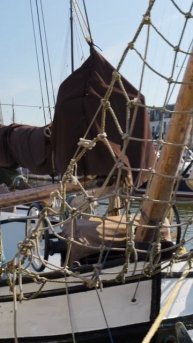 18458841-hd_1080_1920_30fps