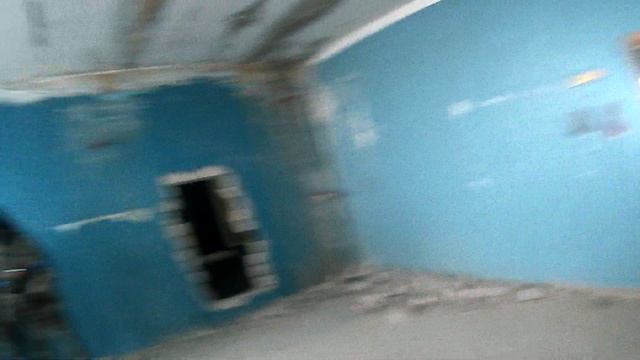 граната, должен был быть шорц