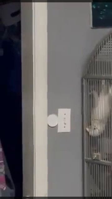 1000072688.mp4