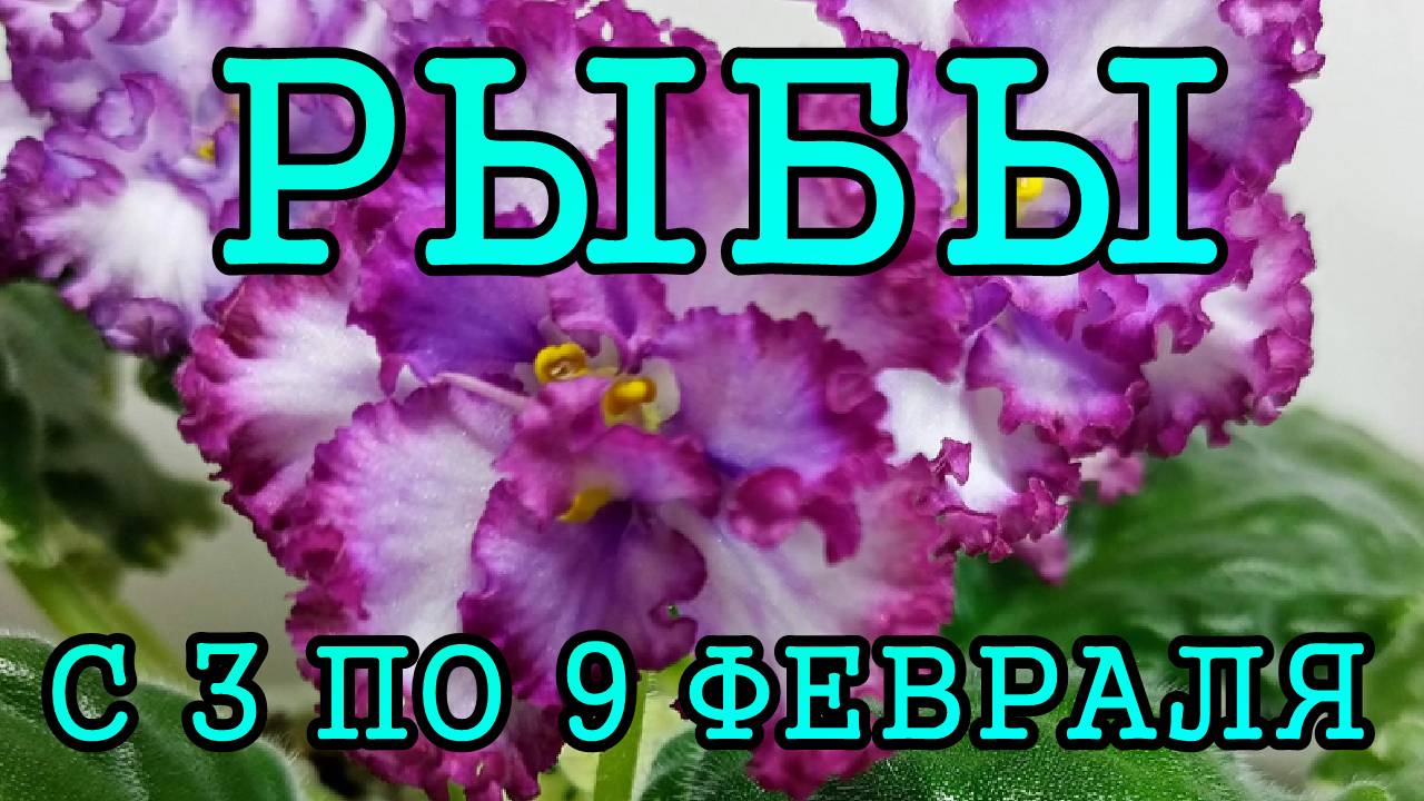 РЫБЫ таро прогноз на неделю с 3 по 9 ФЕВРАЛЯ 2025 года.