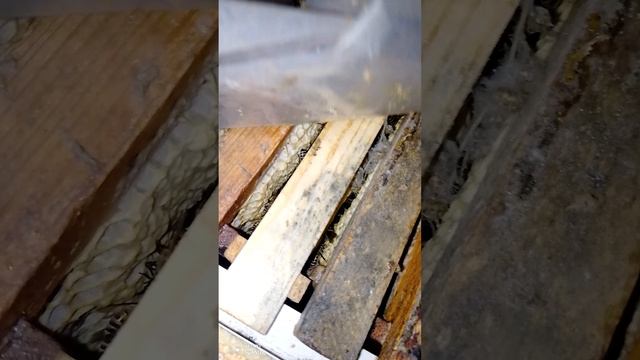 1000029686.mp4