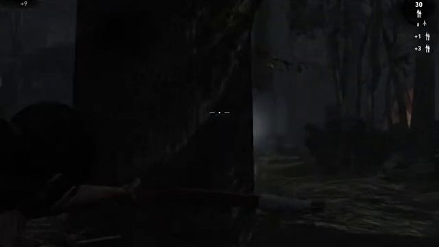 Tomb Raider №9
