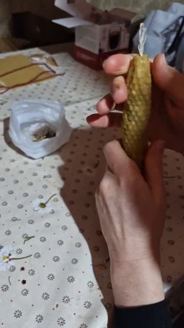 1000156276.mp4
