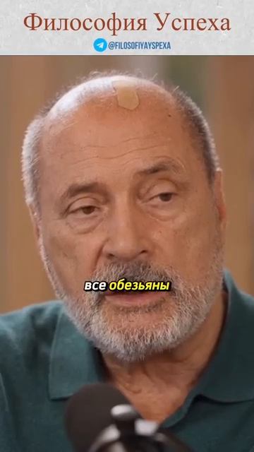 Социум и коллективный разум