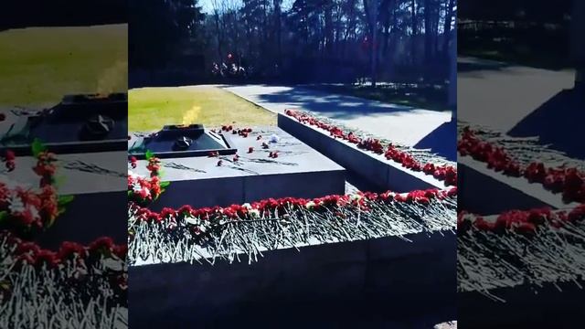 Город Зеленогорск, Курортный район  Санкт-Петербурга