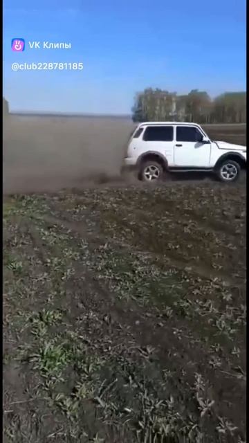 scene_output.mp4