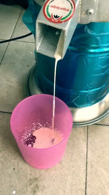 Soybean grinder machine