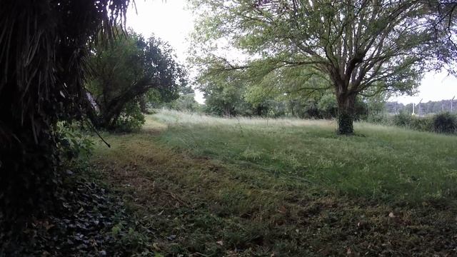 Lawn mower Crossjet,débroussaillage du jardin Juin 2017 (3)