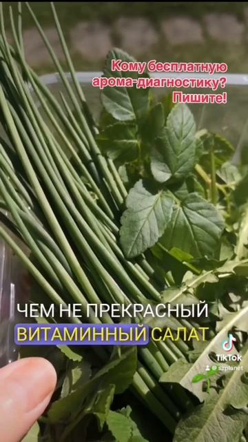 Салат из одуванчиков и… А Вы такой пробовали? А какие салаты любите употреблять Вы? #салатрецепты