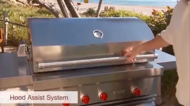 Wolf Outdoor Gas Grill