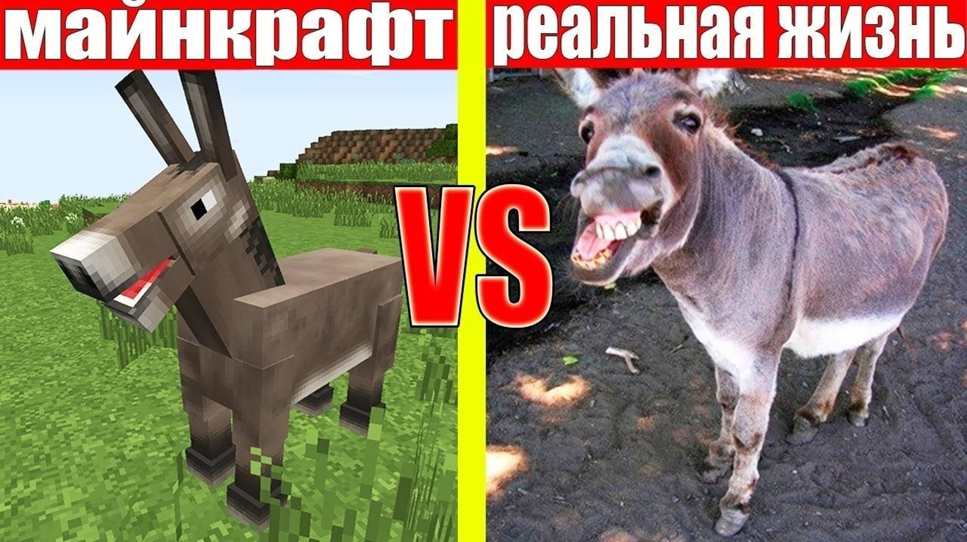 МАЙНКРАФТ ПРОТИВ РЕАЛЬНОЙ ЖИЗНИ 6  MINECRAFT VS REAL LIFE