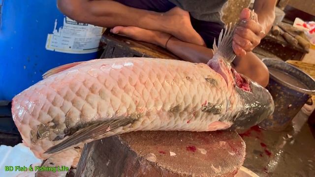 You Never Seen!! Giant Carp Fish Cutting Live In Bangladesh Fish Market