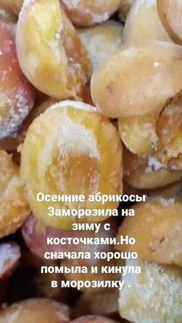 Абрикосы замороженные 5+зимней варки