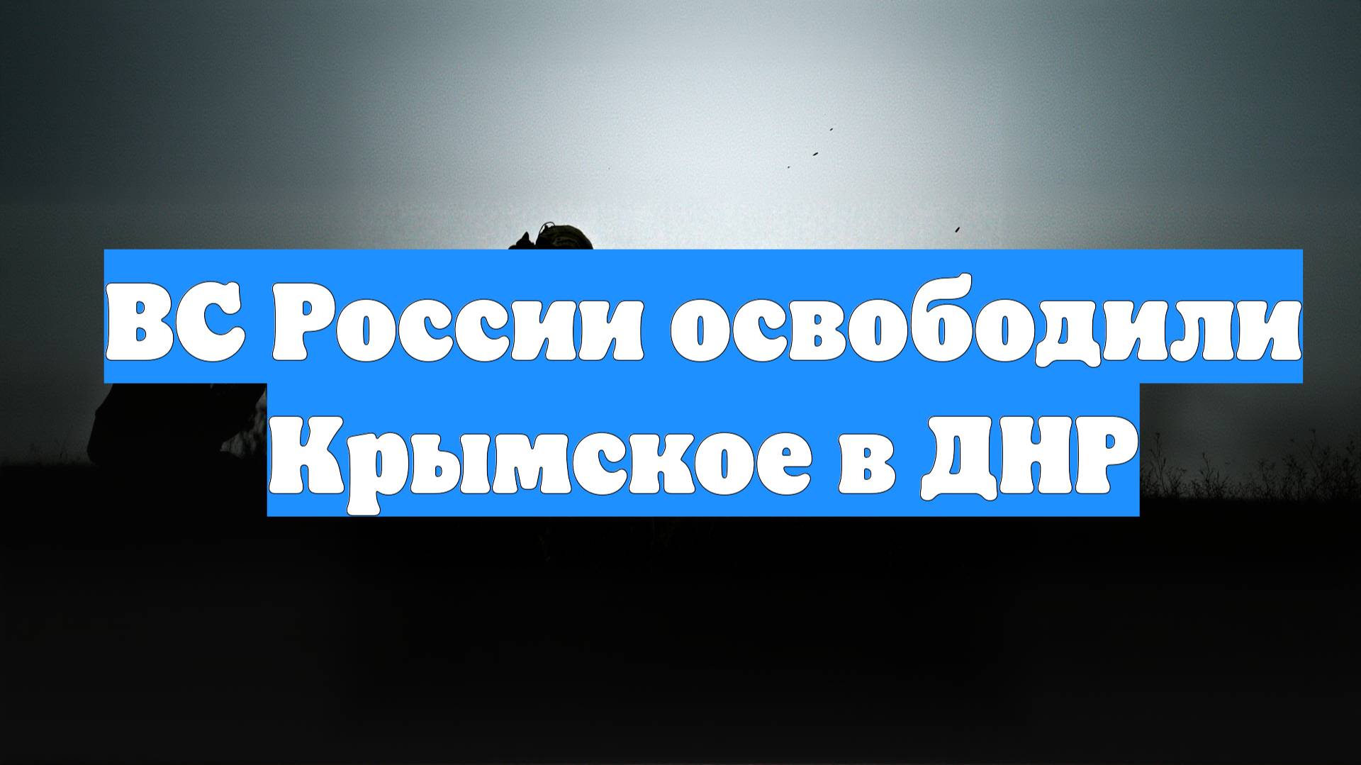 ВС России освободили Крымское в ДНР