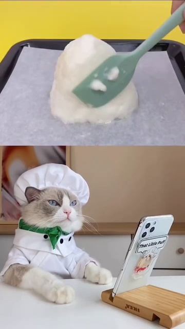 Comfee | The Oven Toaster  Puffs Loves! #shorts #viral #trending  #singapore #thatlittlepuff