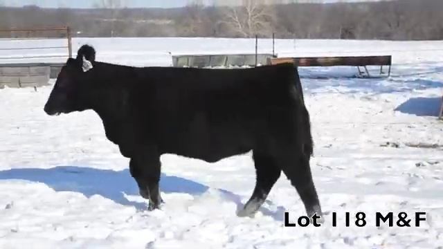 Lot 118   3065   M&F