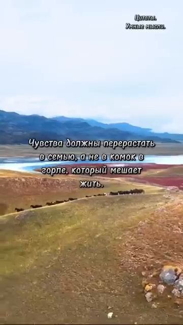 цитаты #лошади #омархайям