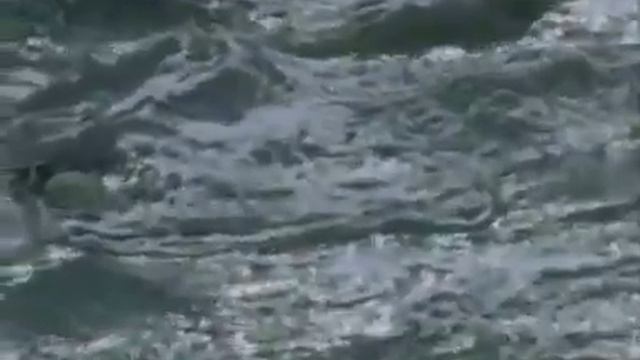 На ладони Божьей