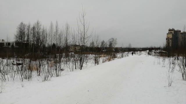 2023.02.23. Погода Петербург. 13:30. - 9°. Нет ветра. Разгуляй.